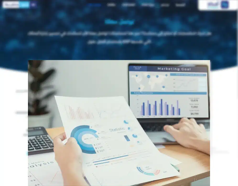 أنواع البرامج المحاسبية