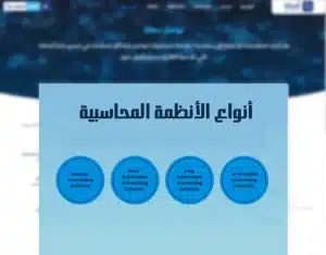 أنواع الأنظمة المحاسبية