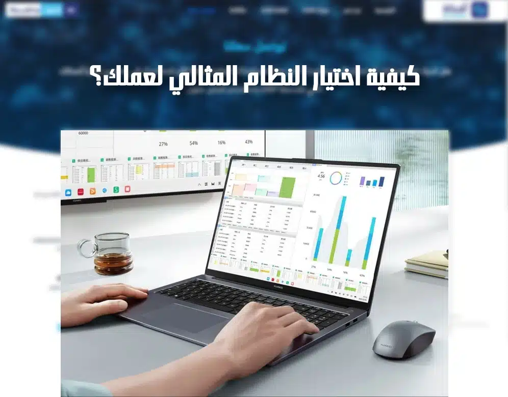 أنواع الأنظمة المحاسبية