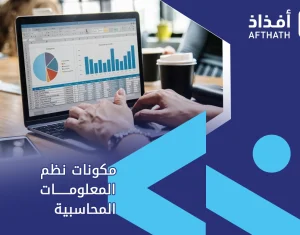 مكونات نظم المعلومات المحاسبية
